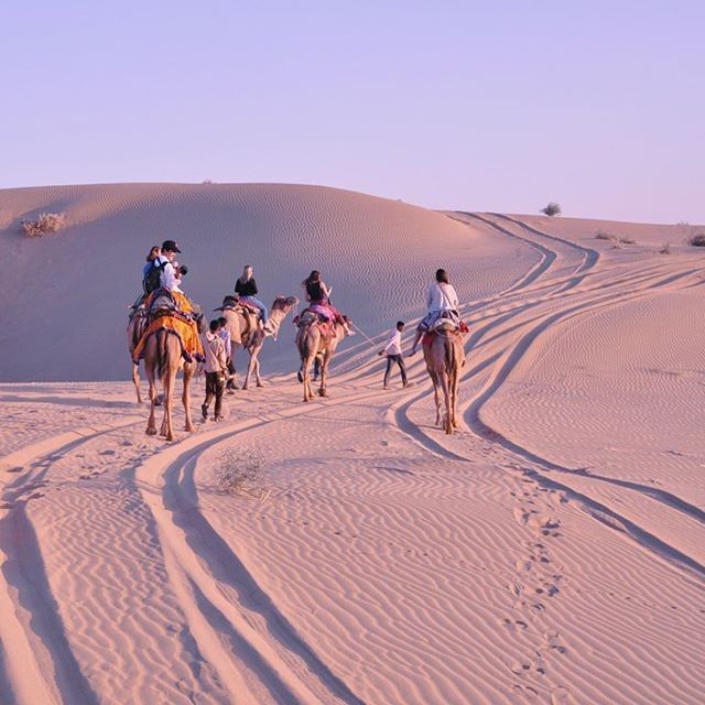 desert safari camp Jaisalmer